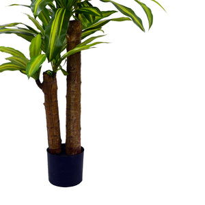 Διακοσμητικό φυτό Dracaena σε γλάστρα Inart πράσινο pp Υ110εκ