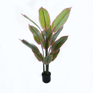 Διακοσμητικό φυτό σε γλάστρα Calathea Inart πράσινο Φ68x120εκ