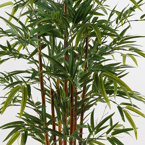 Διακοσμητικό φυτό σε γλάστρα Rhapis Palm Inart πράσινο Φ60x120εκ