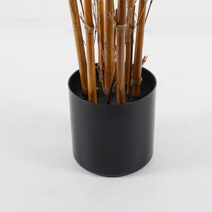 Διακοσμητικό φυτό σε γλάστρα Rhapis Palm Inart πράσινο Φ60x120εκ