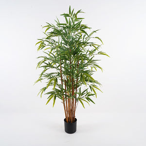 Διακοσμητικό φυτό σε γλάστρα Rhapis Palm Inart πράσινο Φ60x120εκ