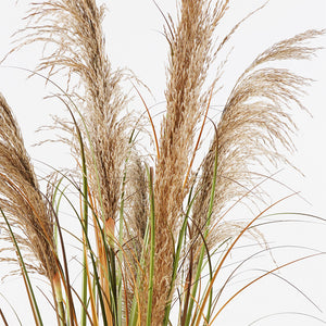 Διακοσμητικό φυτό σε γλάστρα Bulrush Inart Φ65x120εκ