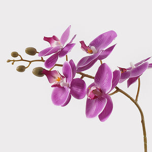 Διακοσμητικό φυτό σε γλάστρα Οrchid Beauty Inart 30x13x46εκ