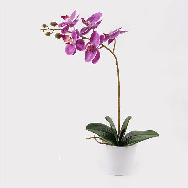 Διακοσμητικό φυτό σε γλάστρα Οrchid Beauty Inart 30x13x46εκ