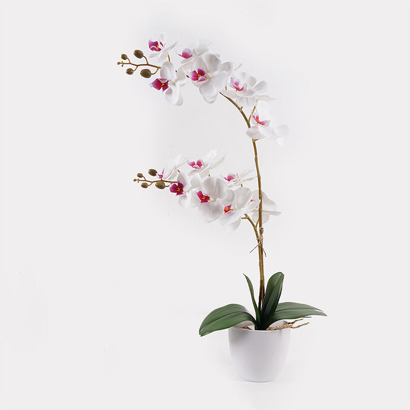 Διακοσμητικό φυτό σε γλάστρα Οrchid White Inart 36x17x65εκ