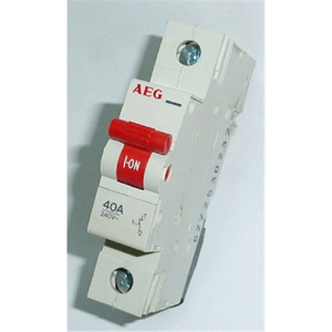 <h2>AEG ΡΑΓΟΔΙΑΚΟΠΤΗΣ ASR 1X40A</h2>
Με ονομαστικό ρεύμα 40Α