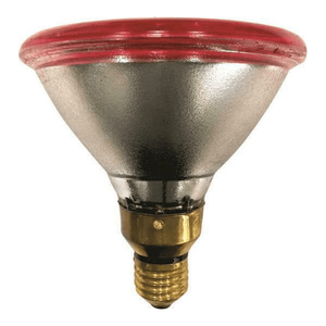 <h2>EUROLAMP 147-88062 ΛΑΜΠΑ ΥΠΕΡΥΘΡΩΝ 175W ΓΙΑ ΝΤΟΥΙ E27</h2>
<h2 class="title section-title specs-section"><span class="content">Χαρακτηριστικά</span></h2>
<div class="specs-container content section">
<div class="spec-groups">
<div class="spec-details">
<dl>
 	<dt>Είδος</dt>
 	<dd>Θέρμανσης/Υπερύθρων</dd>
</dl>
<dl>
 	<dt>Τάση</dt>
 	<dd>220 V</dd>
</dl>
<div class="tooltip-container explanation-icon-container light-theme right" role="present