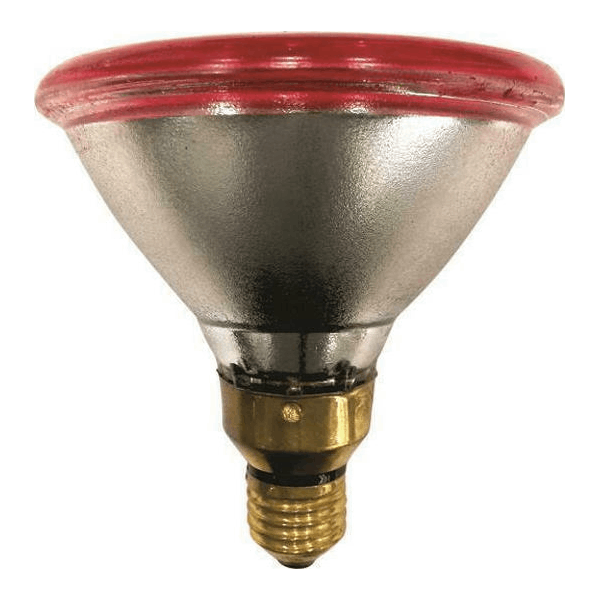 <h2>EUROLAMP 147-88062 ΛΑΜΠΑ ΥΠΕΡΥΘΡΩΝ 175W ΓΙΑ ΝΤΟΥΙ E27</h2>
<h2 class="title section-title specs-section"><span class="content">Χαρακτηριστικά</span></h2>
<div class="specs-container content section">
<div class="spec-groups">
<div class="spec-details">
<dl>
 	<dt>Είδος</dt>
 	<dd>Θέρμανσης/Υπερύθρων</dd>
</dl>
<dl>
 	<dt>Τάση</dt>
 	<dd>220 V</dd>
</dl>
<div class="tooltip-container explanation-icon-container light-theme right" role="present